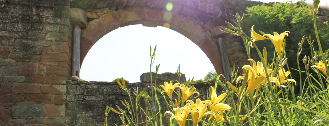 Horizonte Header
